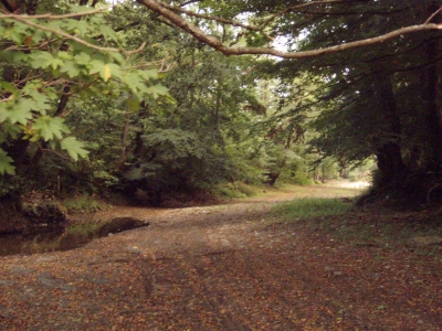 camp near Dzhubga.JPG